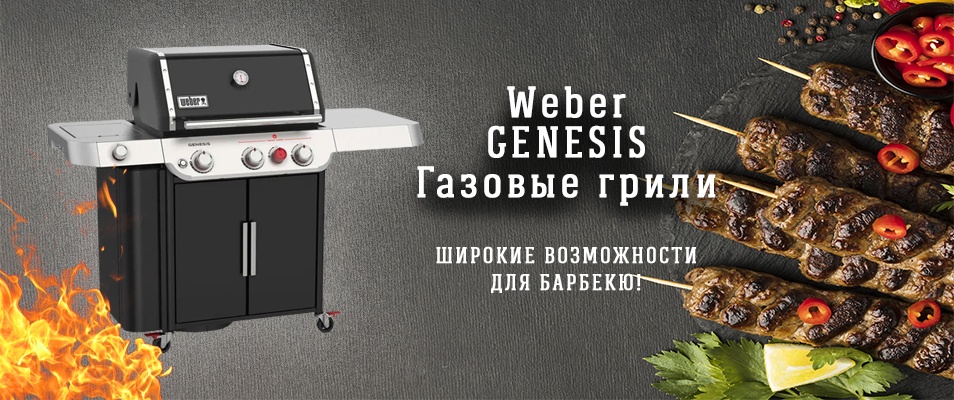 Weber GENESIS